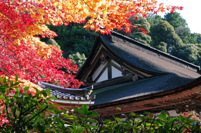 Saimyoji Temple (Shiga): Located in the Suzuka mountain range, Saimyoji Temple is one of a trio of ancient Tendai Buddism temples in eastern Shiga, also known as "Koto Sanzan." The temple is renowned for the beautiful red and orange leaves that surround it in the fall and long blooming cherry trees.